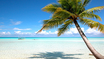 Tahiti Beach, tropic, palm, tropical, beach, holiday, season, boats, trees, water, vavation, sun, ocean, sunshine, palms, sea, Tahiti, paradise, tree, summer, SkyPhoenixX1, clouds, nature, sky HD wallpaper