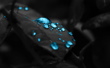 Best Water S HD wallpaper