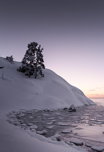 Winter, Nature, Ice, Snow, Lake, Wood, Tree, Hill HD phone wallpaper