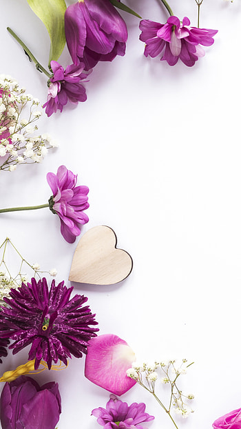 Love, magenta, pink HD phone wallpaper