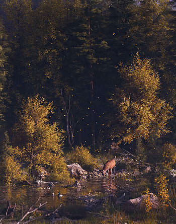 Landscape, Nature, Rivers, Art, Forest, Wildlife, Deer HD phone wallpaper