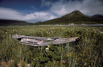 Alaskan meadow, field, meadow, nature, alaska, wooden boat HD wallpaper