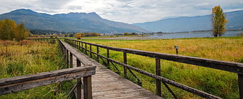 Explore a serene wooden boardwalk in Salmon Arm, BC, surrounded by lush meadows and distant mountains. HD wallpaper