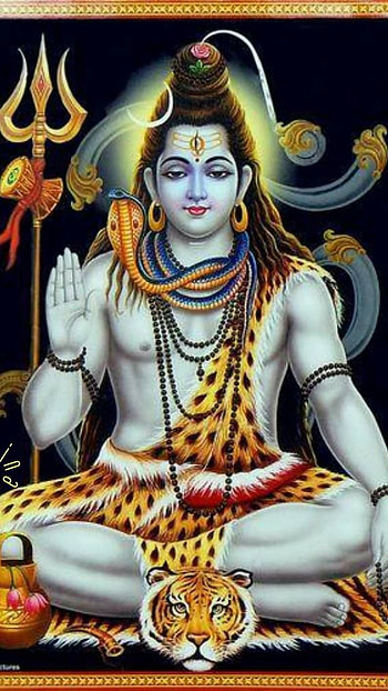 Shankar Mahadev, Lord, Sivan HD phone wallpaper