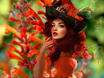 Delicate Orange, black, vibrant, vivid, green, yellow, bright, bold, orange, colorful HD wallpaper