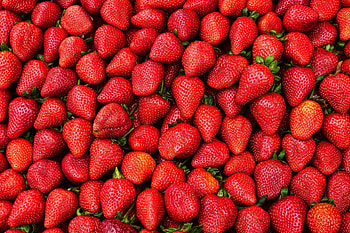 Strawberries, berries, fruit, red HD wallpaper