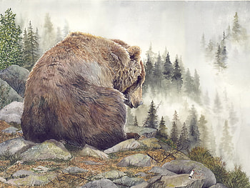 Bear This, mist, chubby, bear, site seeing, above, high, rocks HD wallpaper