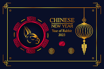 Year of the rabbit, holiday, Chinese New Year HD wallpaper