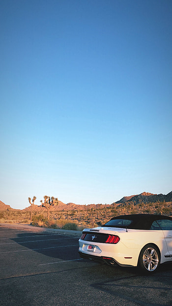 Desert, Cars, Car, Journey, Ford Mustang, Rear Bumper HD phone wallpaper