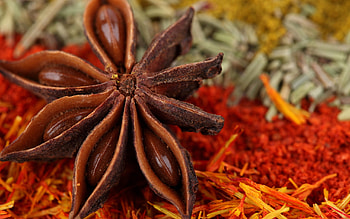 Herbs and spices, Culinary collection, Flavorful ingredients, Aromatic blend HD wallpaper