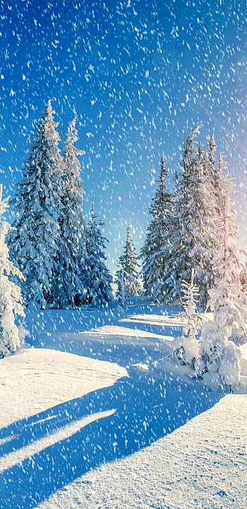 Earth's winter beauty, Winter's embrace, Snow-covered landscapes, Cold and serene HD phone wallpaper