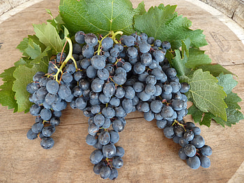 Food, Grapes, Berries, Sheet, Leaf HD wallpaper