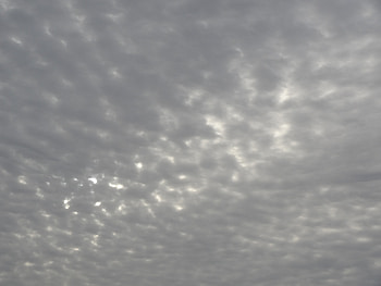 Cloudy Sky, cloudy, clouds, sky, sun, overcast HD wallpaper