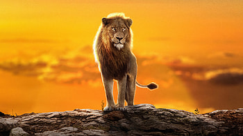 2022 The Lion King Simba, the-lion-king, 2022-movies, movies, behance HD wallpaper