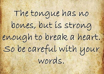 WORDS OF WISDOM, wisdom, other, words, abstract HD wallpaper