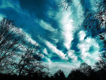 Nature, Trees, Sky, Clouds, Evening HD wallpaper