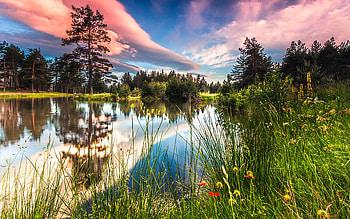 Spring Lake, reflection, clouds, trees, sky, flowers HD wallpaper