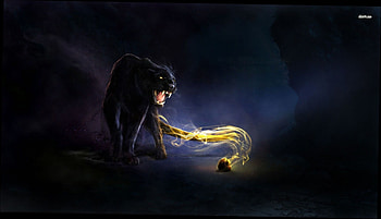 the pink panther on Bros HD wallpaper