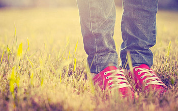 Grass, Shine, Light, Miscellanea, Miscellaneous, Legs, Sneakers, Shoes, Footwear HD wallpaper