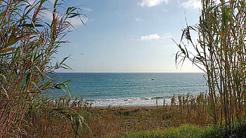 Beautiful Scenery View Of Ocean Waves Green Grass Plants Bushes Blue Sky Background Nature HD wallpaper