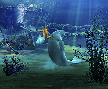 Mermaid and Friend, blue, sea, mermaid, graphy, art, beautiful, digital, fantasy, underwater HD wallpaper