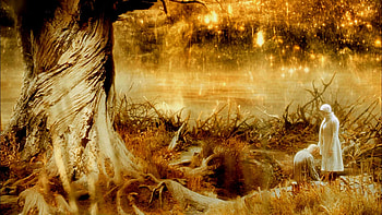 The Fountain movie, Drama romance sci-fi fantasy HD wallpaper