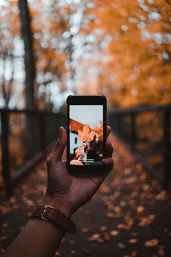 Autumn, Hand, Sheet, Leaf, Technologies, Technology, Maple, Tele HD phone wallpaper