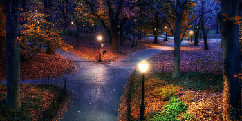 Park Evening Trees Fall, nature, trees, fall, landscape HD wallpaper