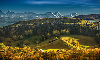 The Bernese Alps, Switzerland, Mountains, Forest, Autumn HD wallpaper
