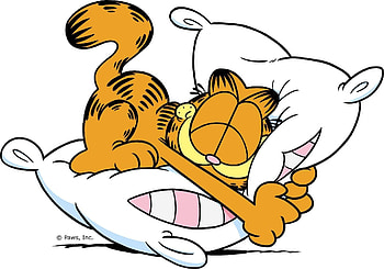 Garfield and Friends, Twitter presence, Irresistible cartoons, Whimsical HD wallpaper