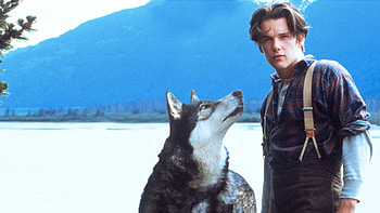 White Fang (Movie), White Fang 1991, Watch, Disney HD wallpaper