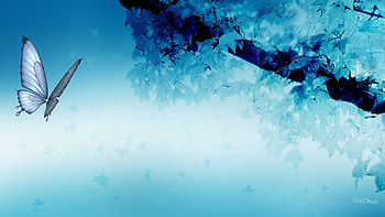 Fall Blues, blue, butterfly, light, firefox persona, bright, fall, trees, autumn HD wallpaper
