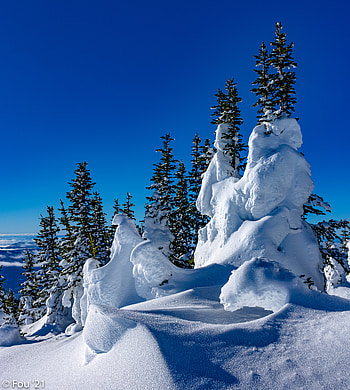 Winter, Nature, Trees, Snow, Drifts HD phone wallpaper