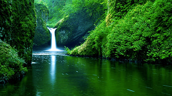 Laptop Live HD wallpaper