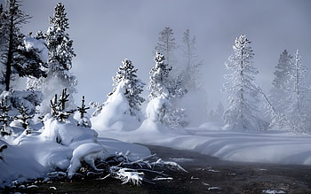 Nature, Water, Rivers, Trees, Snow, Fog, Steam, Ate HD wallpaper