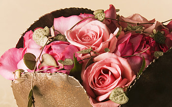 Plants, Flowers, Roses, Bouquets HD wallpaper