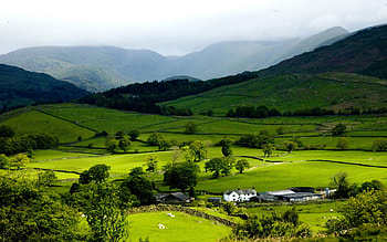 Landscape, Fields HD wallpaper
