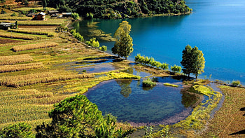 farms by a lake shore, fields, farms, lake, pond HD wallpaper