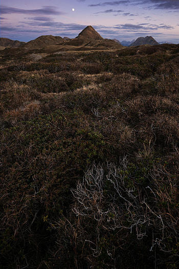 Nature, Grass, Sky, Mountains, Rocks HD phone wallpaper