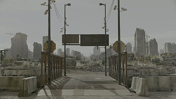 The Last of Us (2023), TV Show, The Last Of Us HD wallpaper