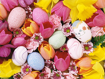 Food, Background, Eggs, Easter, Tulips HD wallpaper