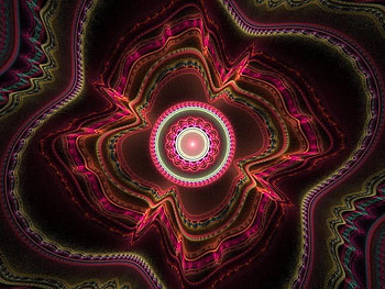 Flower, purple, pink, abstract HD wallpaper