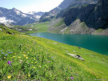 mountains in spring, river, grass, flowers, mountains HD wallpaper