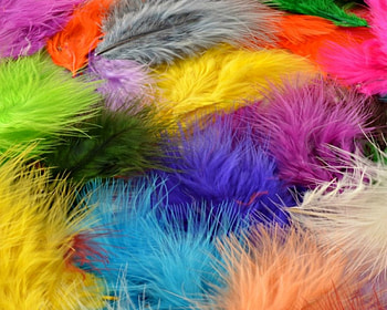Colorful feathers, blue, colorful, fluffy, orange, pink, feather, rainbow, green, yellow, texture HD wallpaper