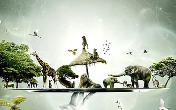 ography h13, amit, omdave, matu, hrdave HD wallpaper