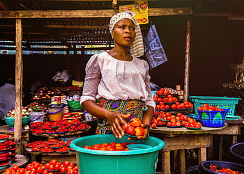 Woman selling fresh tomatoes at an outdoor market stall, showcasing vibrant produce. HD wallpaper