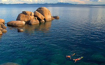 Malawi 2020, Broken panda HD wallpaper