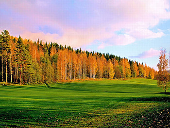 Autumn View, view, autumn, beautiful HD wallpaper