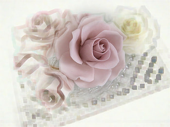 Sugar roses, sweet, pink, white, roses, sugar, nature, flowers HD wallpaper