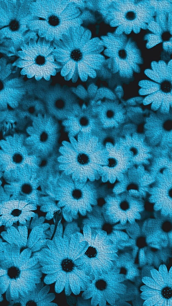 Blue Flowers, Blue Aesthetic HD phone wallpaper